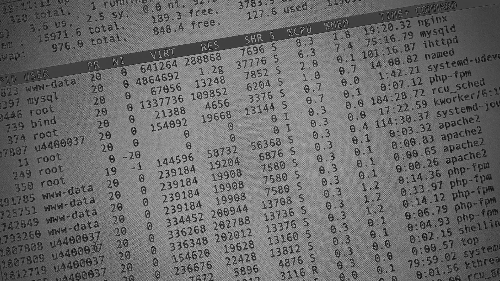 Настройка сервера в Щучье