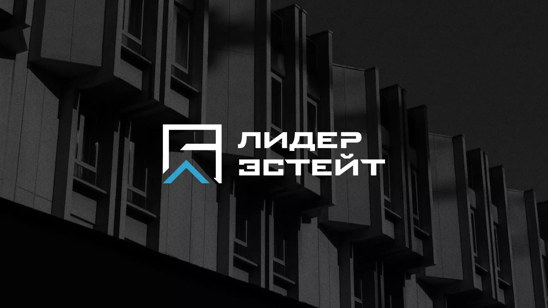 Разработка логотипа агентства недвижимости «Лидер Эстейт» в Щучье