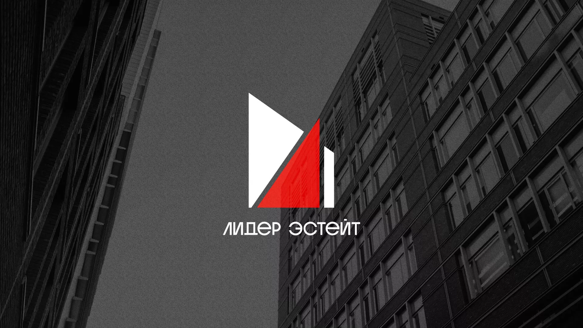 Сделали логотип для агентства недвижимости «Лидер Эстейт» в Щучье